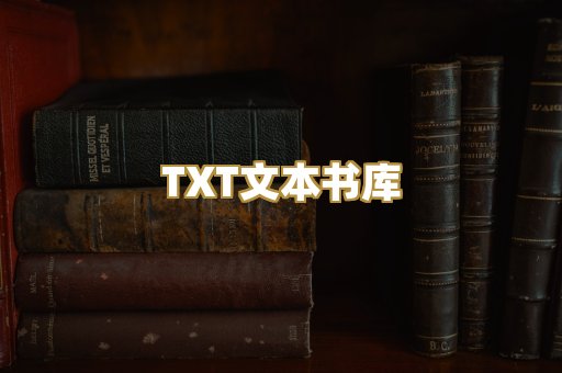 TXT文本书库