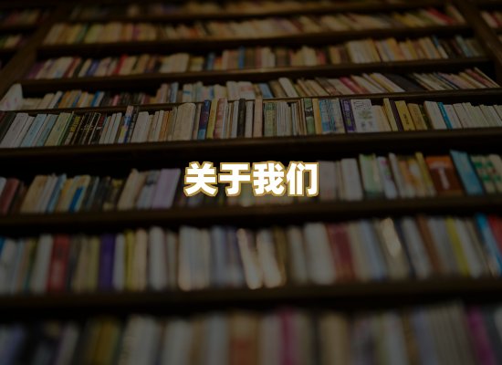 关于我们